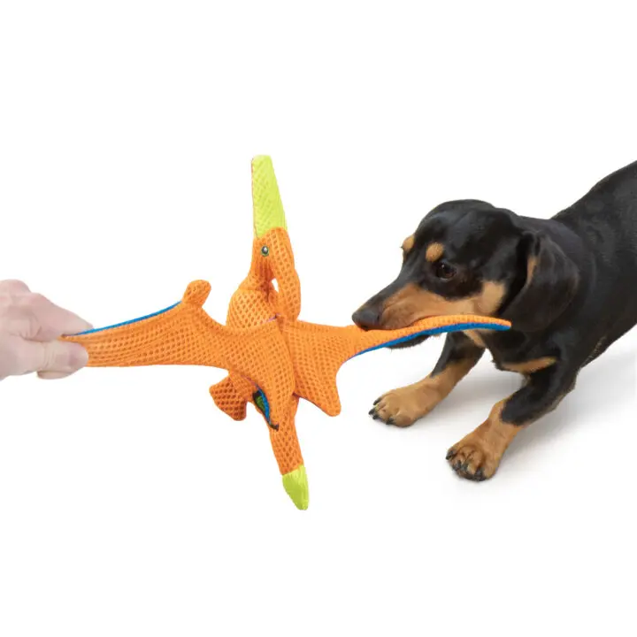 Double Chew Guard Plush Dog Toys