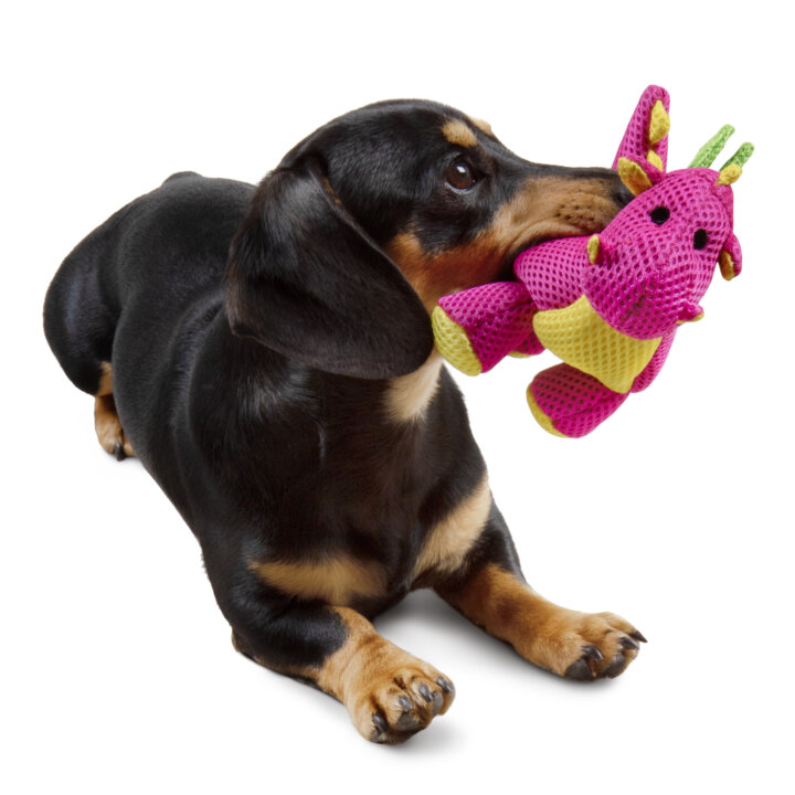 Double Chew Guard Plush Dog Toys