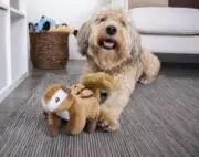 Wildlife™ Plush Dog Toys Products - goDog