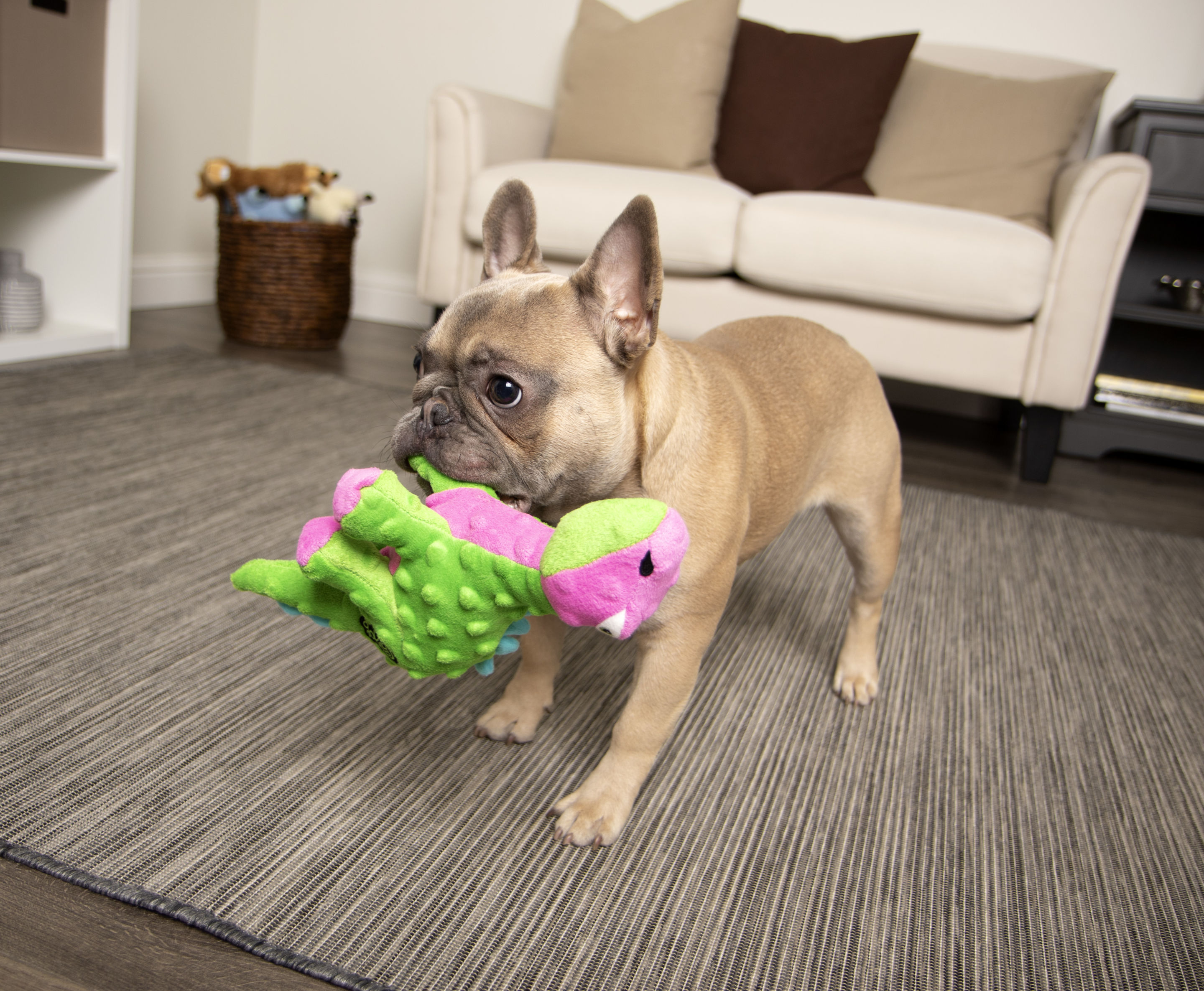 goDog Gators Squeaky Plush Dog Toy: $8, 'Almost Indestructible