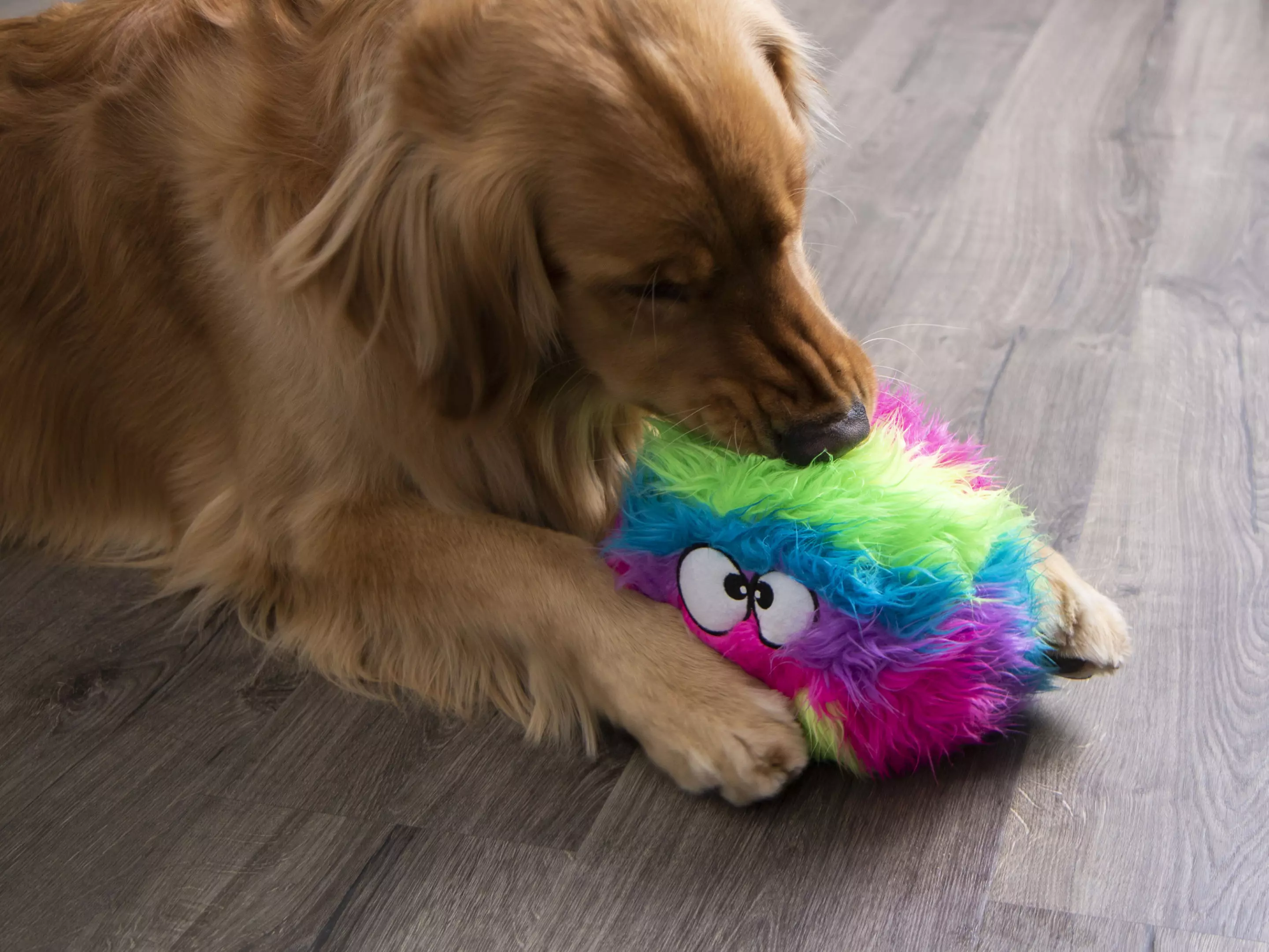 Furballz™ Plush Dog Toys Products - goDog