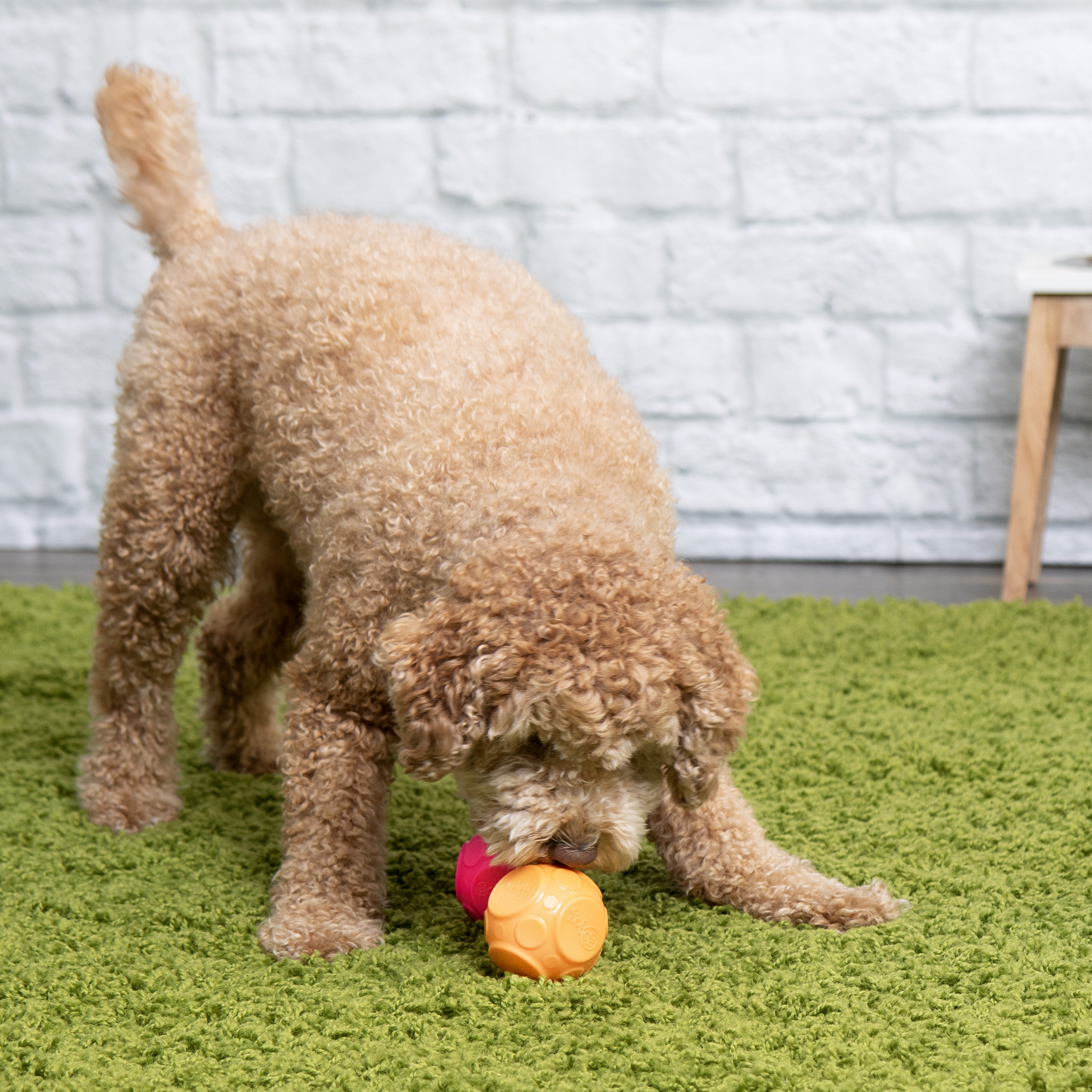 Silent Squeak™ Ball Dog Toys Products - goDog